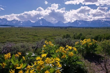 Wyoming taking gaming proposals for new sites